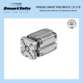 Chinese ISO DNC Pneumatic Air Cylinder Made in China